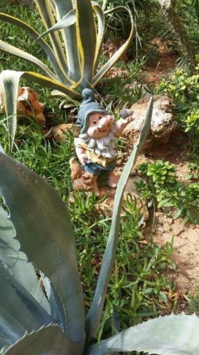 Gartenzwerg Club Turtas Beach Hotel