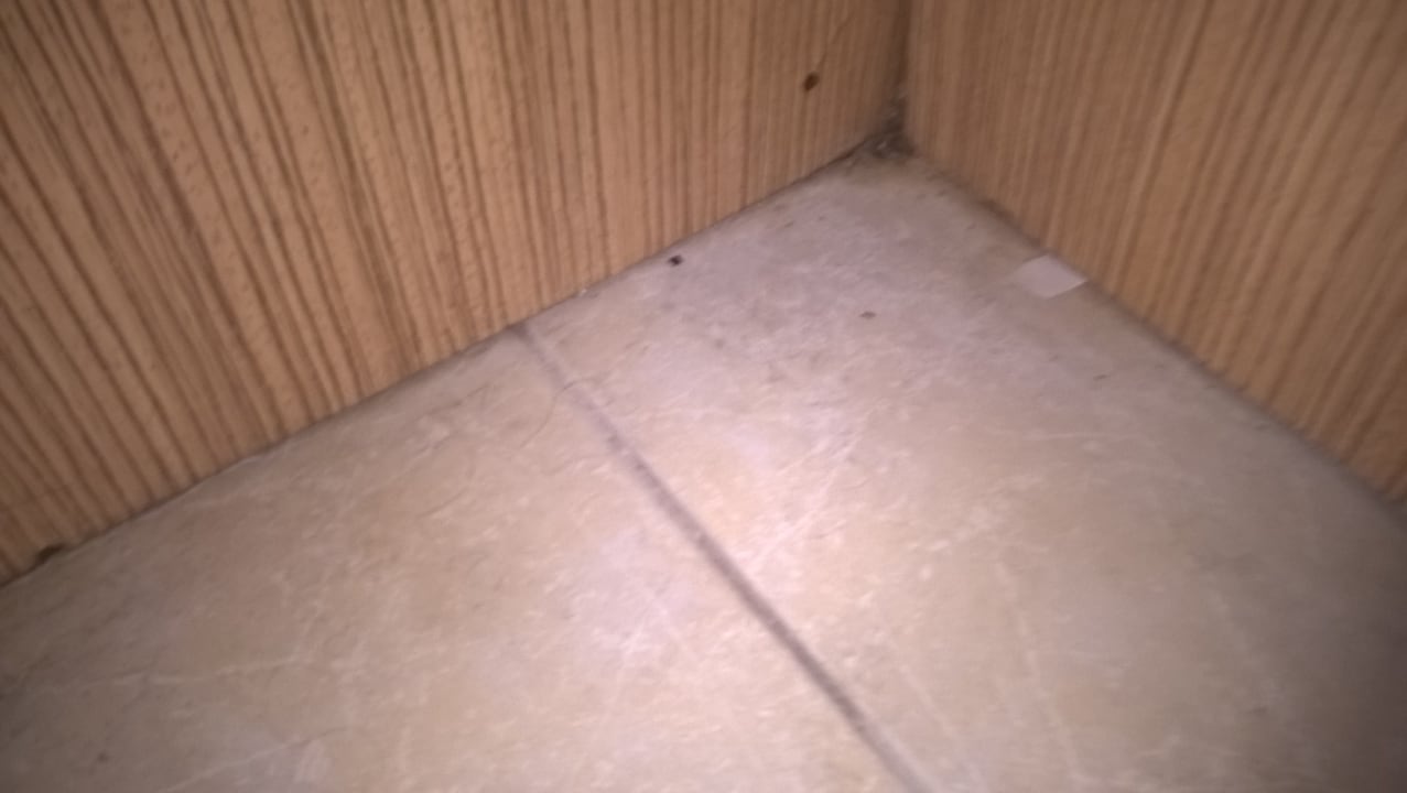 Zimmer Hotel Elite Bodrum