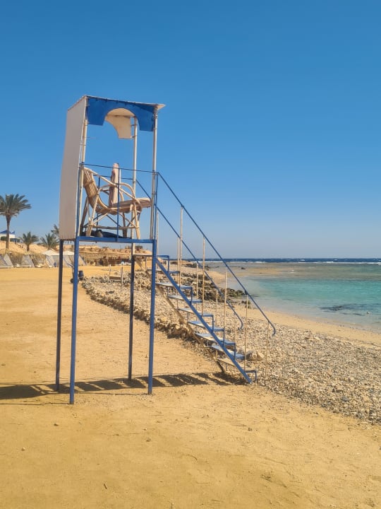 Strand Coral Sun Beach