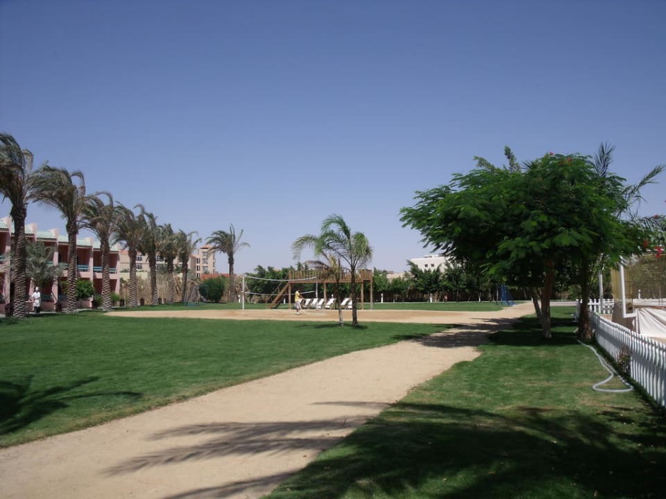 Spielfeld Sindbad Club