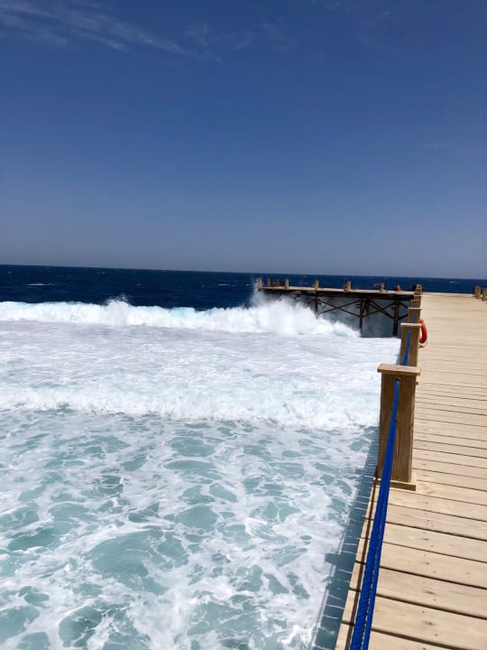 Strand Pickalbatros Sea World Resort - Marsa Alam