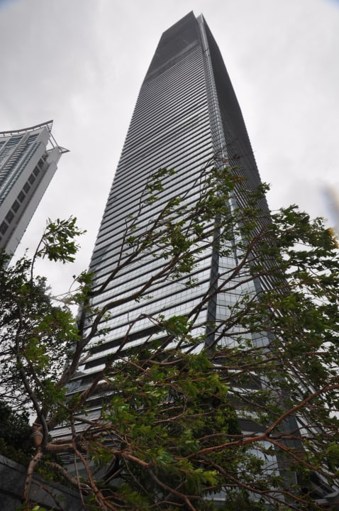 The Ritz-Carlton Hongkong Hotel The Ritz-Carlton Hongkong