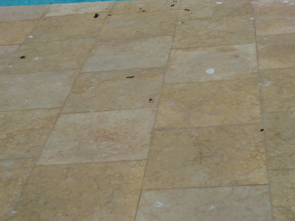 Resultat der Möwen am Pool Hotel Gorgonia Beach Resort