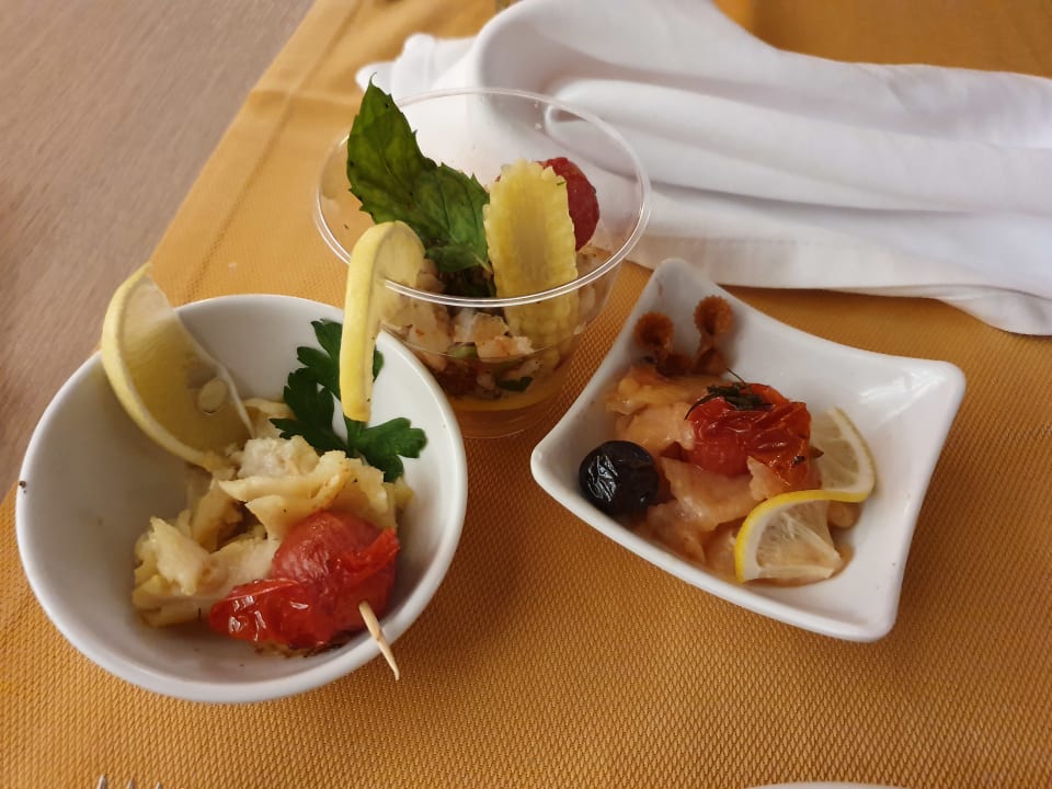 Gastro Seashell Vega