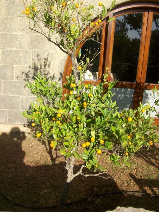 Garten Ta Cenc Hotel