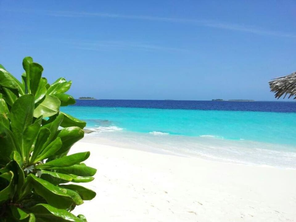 Traum Strand NH Collection Maldives Reethi Resort