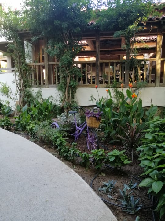 Gartenanlage Hapimag Sea Garden Resort