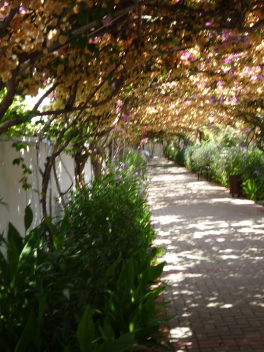 Sonstiges Alaiye Resort & Spa