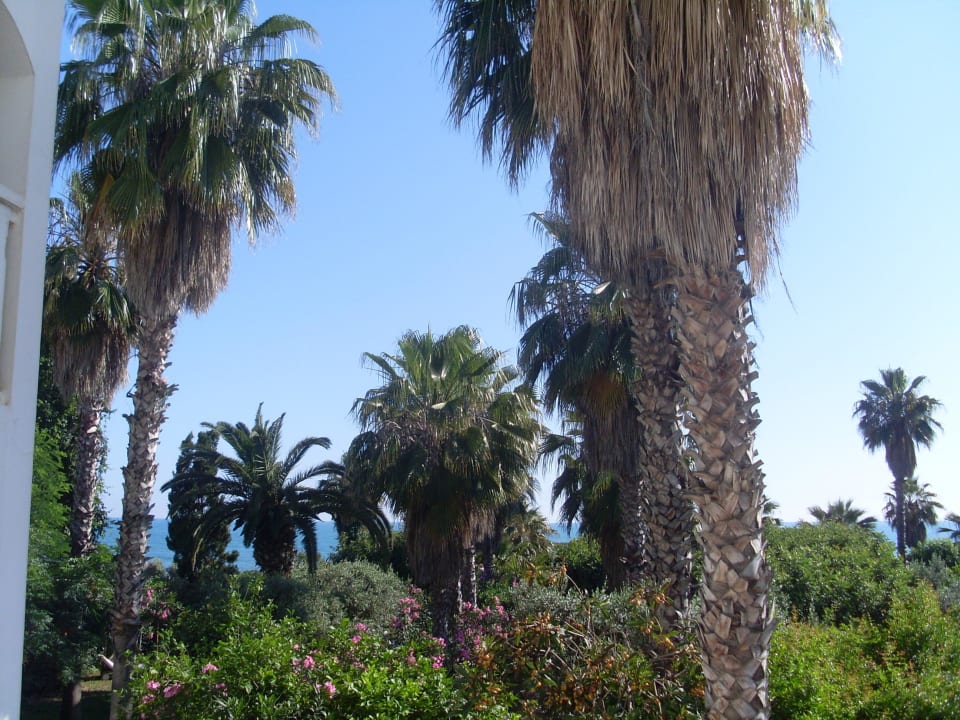 Im Hintergrund das Meer Hotel Defne Ana