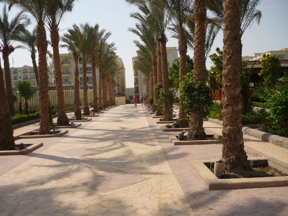 На территории Riviera Aqua Park Resort