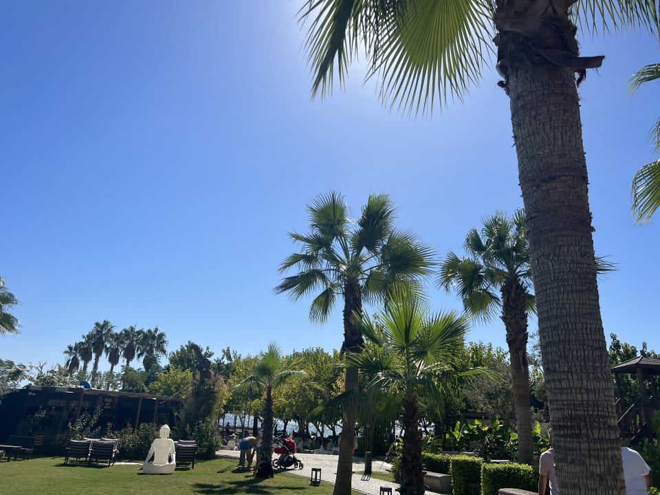 Gartenanlage Numa Bay Exclusive Hotel