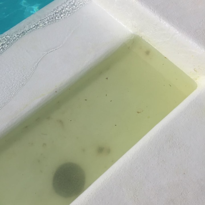 Pool Relaxia Olivina