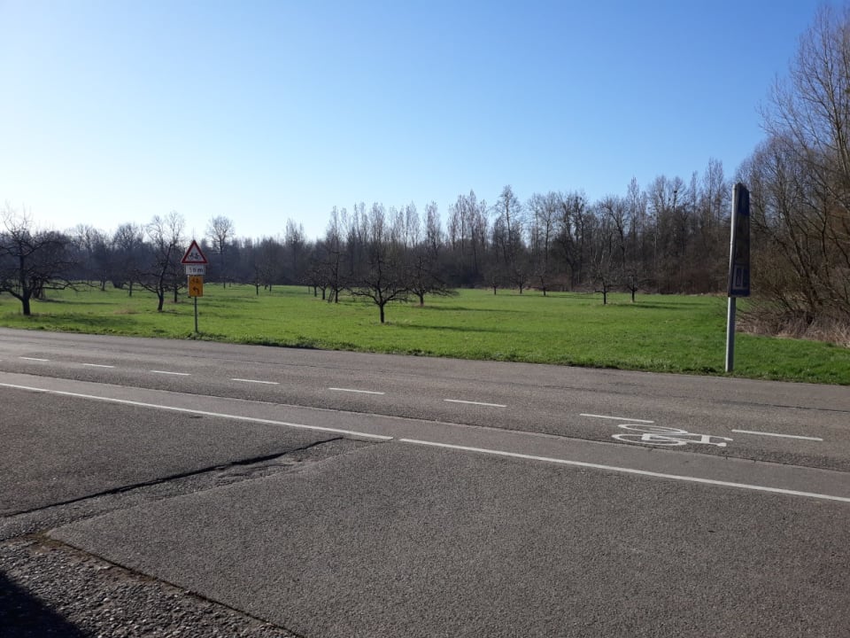 Ausblick Cafe Restaurant Rheinstrom