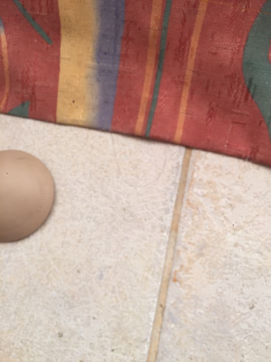 Zimmer Hotel Orchidea Park