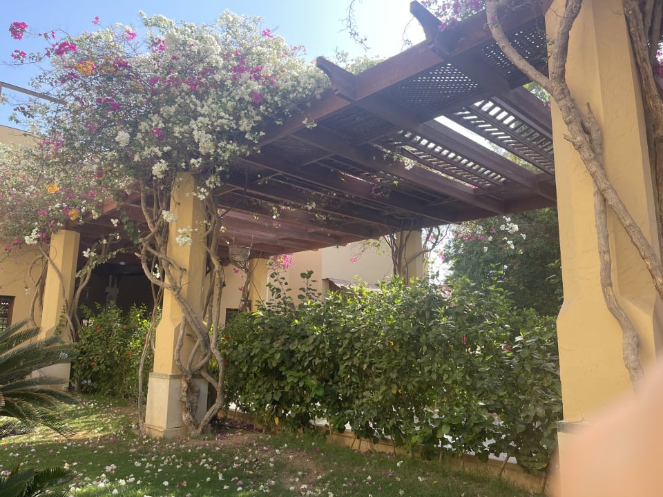 Gartenanlage ROBINSON SOMA BAY