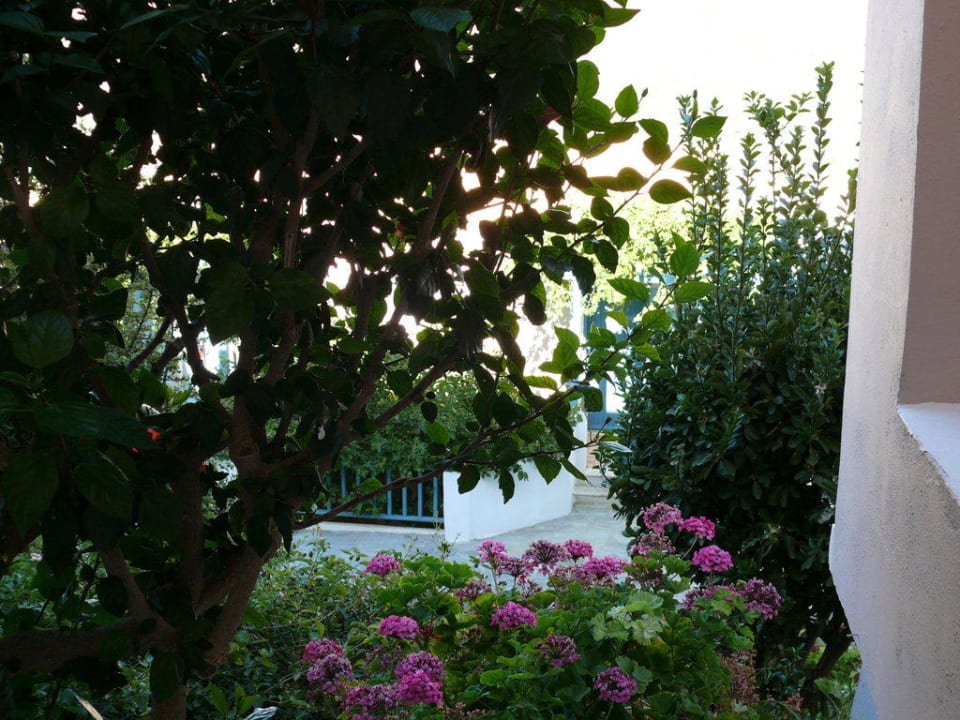 Vor unserer Terrasse Fodele Beach & Water Park Holiday Resort