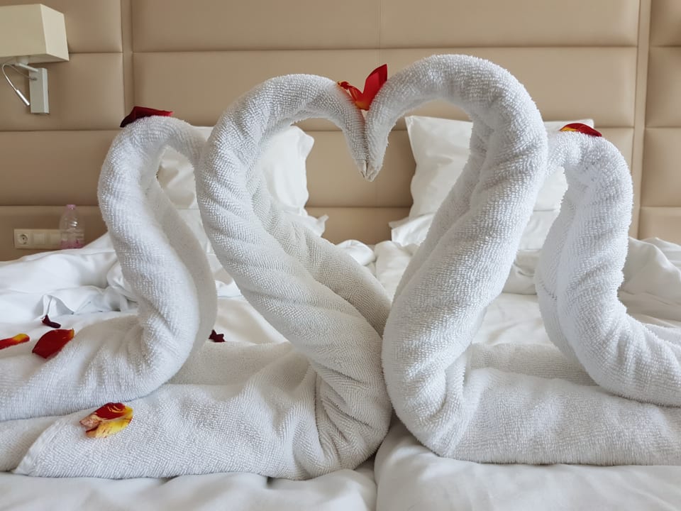 Zimmer Hotel Bilyana Beach