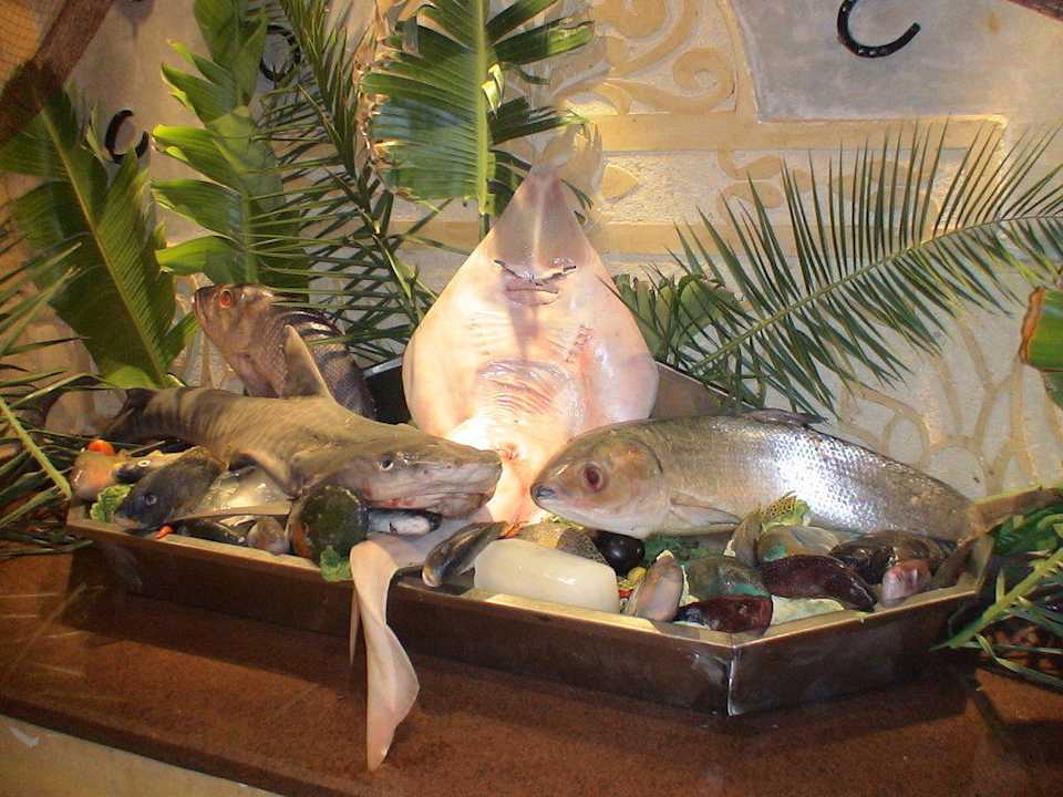 Fischtag Pickalbatros Alf Leila Wa Leila Resort - Neverland Hurghada