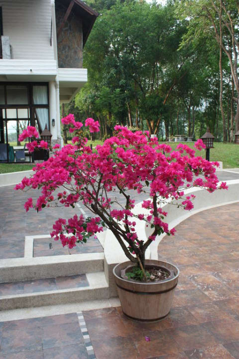 Inne Mida Resort Kanchanaburi