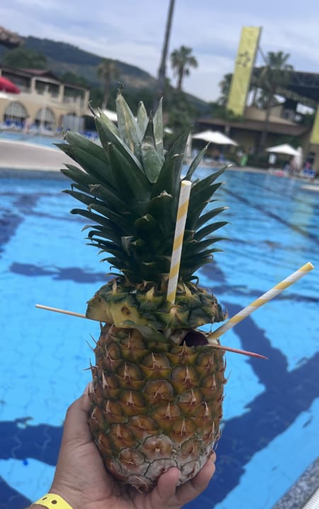 Gastro TUI MAGIC LIFE Calabria