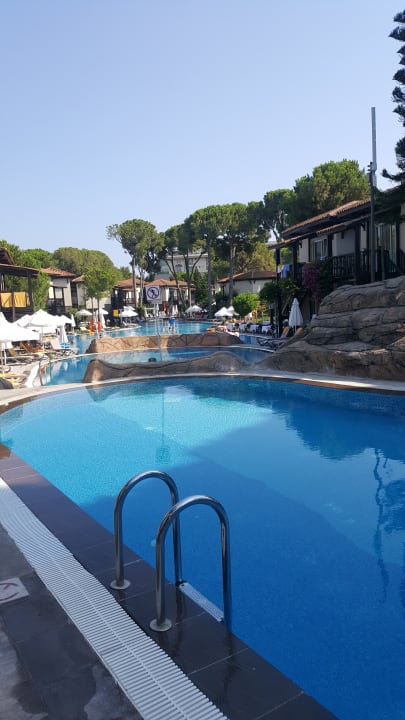 Außenansicht Papillon Ayscha