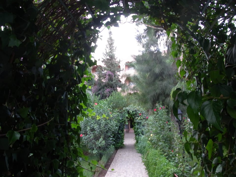 Laubengang zum Pool Hotel Le Tazarkount