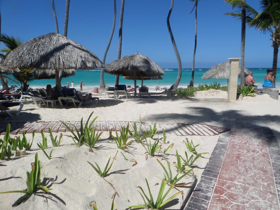 Strand  Grand Palladium Select Bávaro Resort & Spa