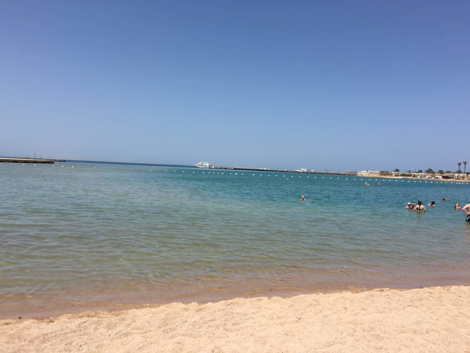 Toll Pickalbatros Dana Beach Resort - Hurghada