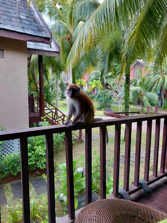 Außenansicht Tunamaya Resort