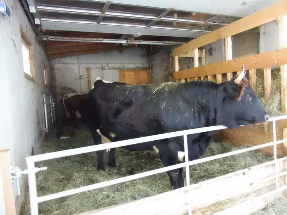 Sonstiges Bauernhof Haus Waldesruh