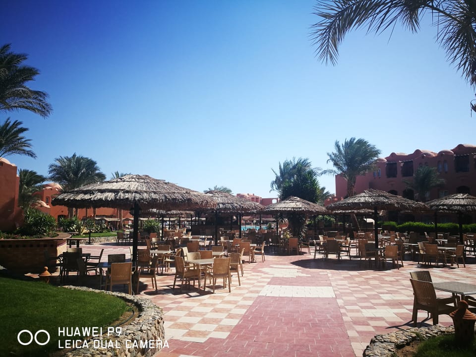 Gartenanlage Jaz Makadi Oasis Resort