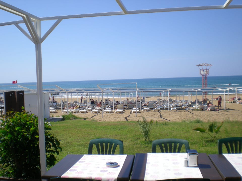 Strandabschnitt des Hotels Hotel Orfeus Park