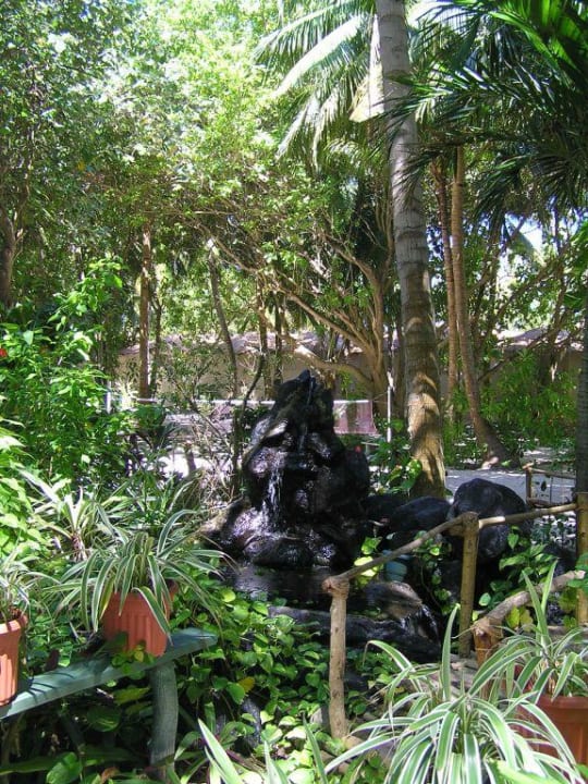 Gartenanlage Summer Island Maldives