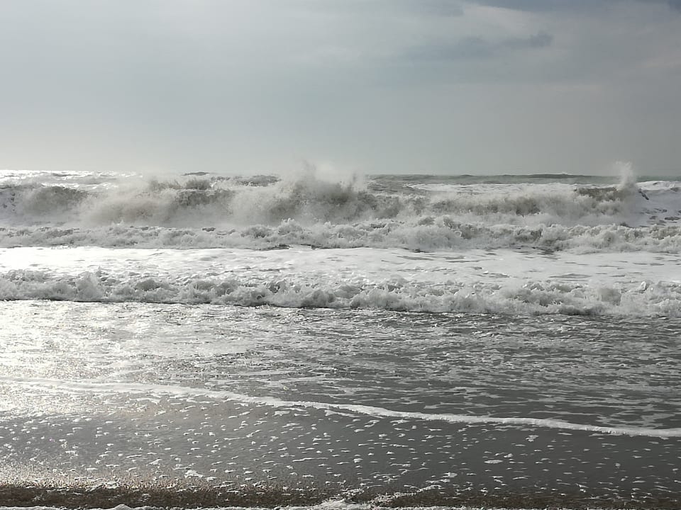 Strand Sherwood Exclusive Lara