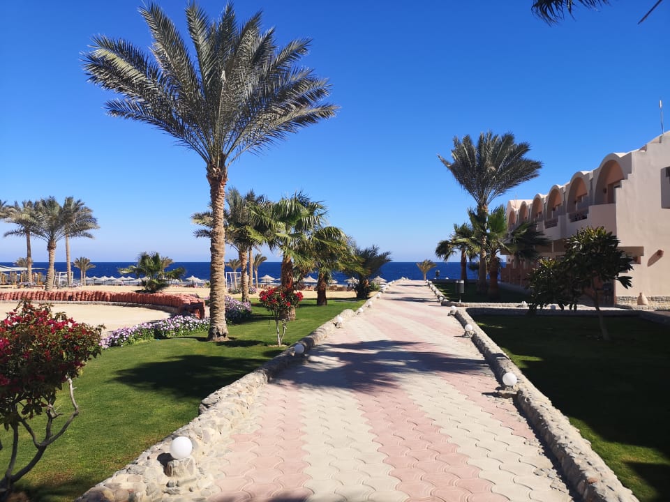 Gartenanlage Three Corners Sea Beach Resort