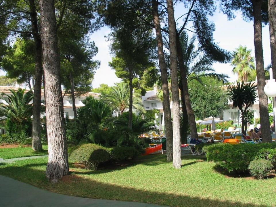 Ruhezone Iberostar Waves Pinos Park