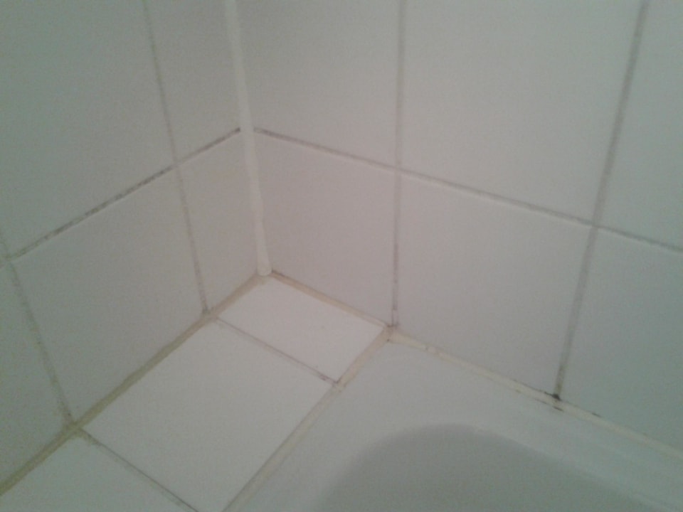 Schimmel wird einfach überfugt Hotel Flörsheimer Hof