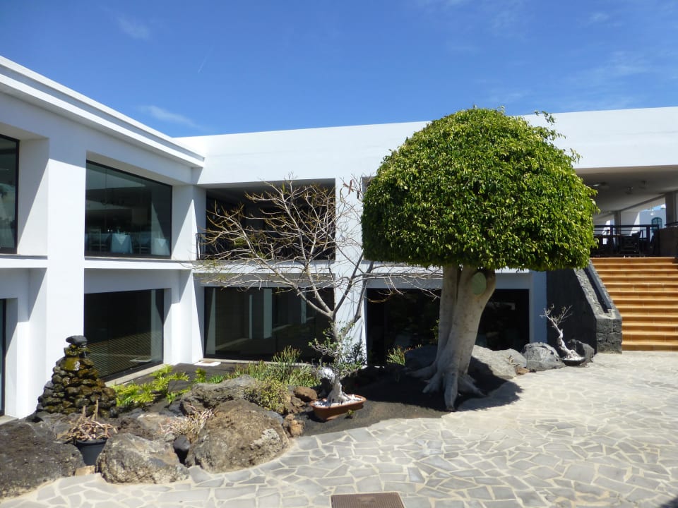 Restaurant allsun App.-Hotel Albatros