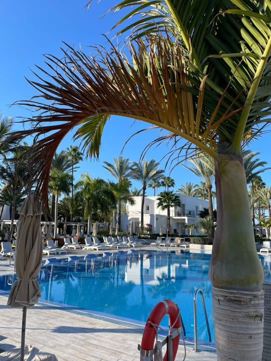 Pool Hotel Riu Palace Meloneras