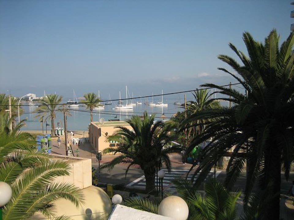 Blick zum Strand Bellamar Hotel Beach & Spa