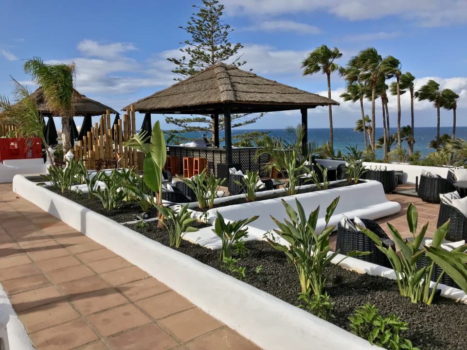 Gartenanlage Dreams Jardín Tropical