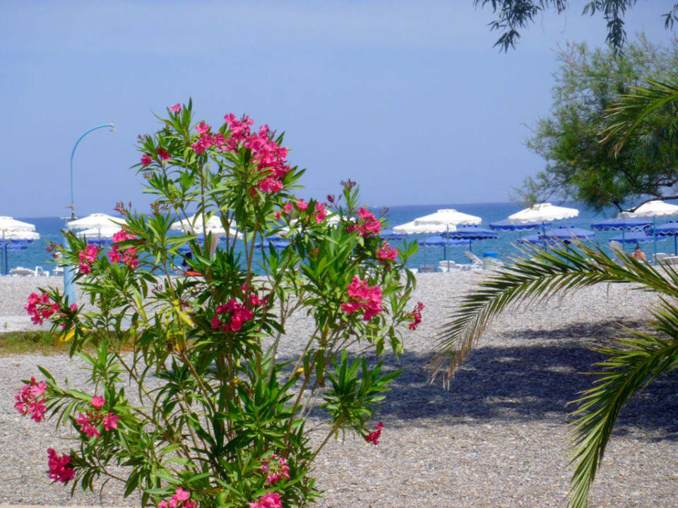 Красивый пляж Lindos Royal Resort