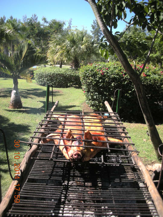 Das Mittagessen Blau varadero - Adults only