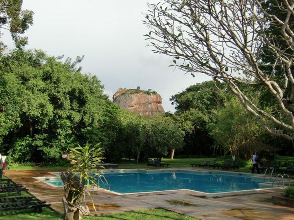 Ausblick zum Löwenfelsen Sigiriya Village