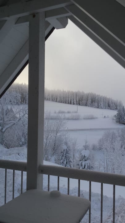 View from the appartment Dreiländerblick Ferienappartements