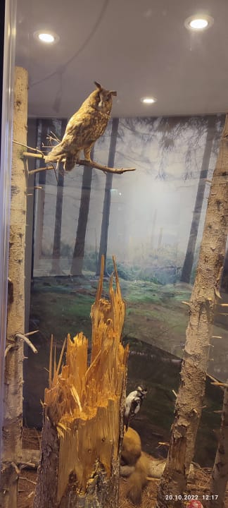 Ausblick Berghotel Hoher Knochen