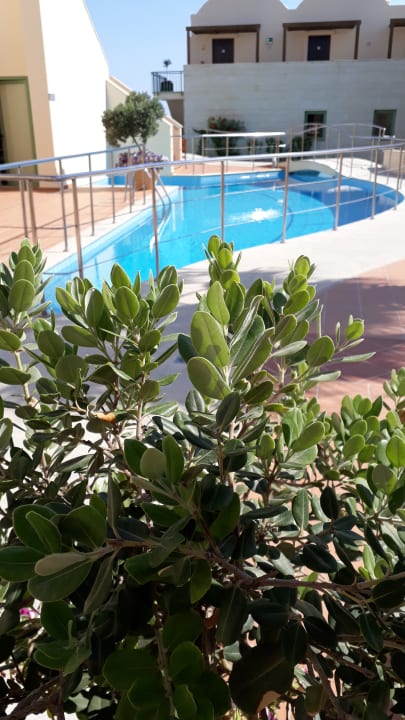 Pool Giannoulis - Grand Bay Beach Resort