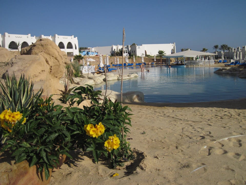 Pool mit Sandstrand Hilton Marsa Alam Nubian Resort