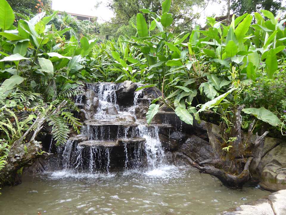 Gartenanlage Hotel Peace Lodge