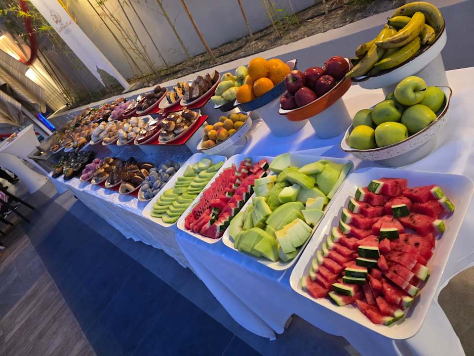 Gastro Seashell Vega